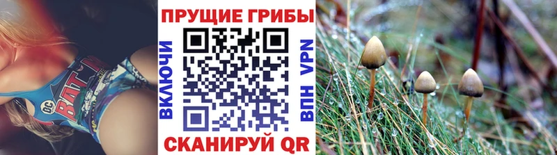 Купить закладки  Талдом  Галлюциногенные грибы мицелий 